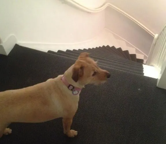 Zeespiegel ホテル